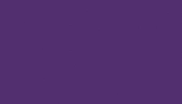 2579_violett-